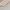 Bracelet Bar – Gravure (Or)