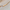 Friendship Bracelets - Bar Bracelet (Gold)